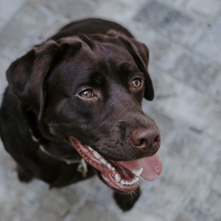 Alex Carter testimonial